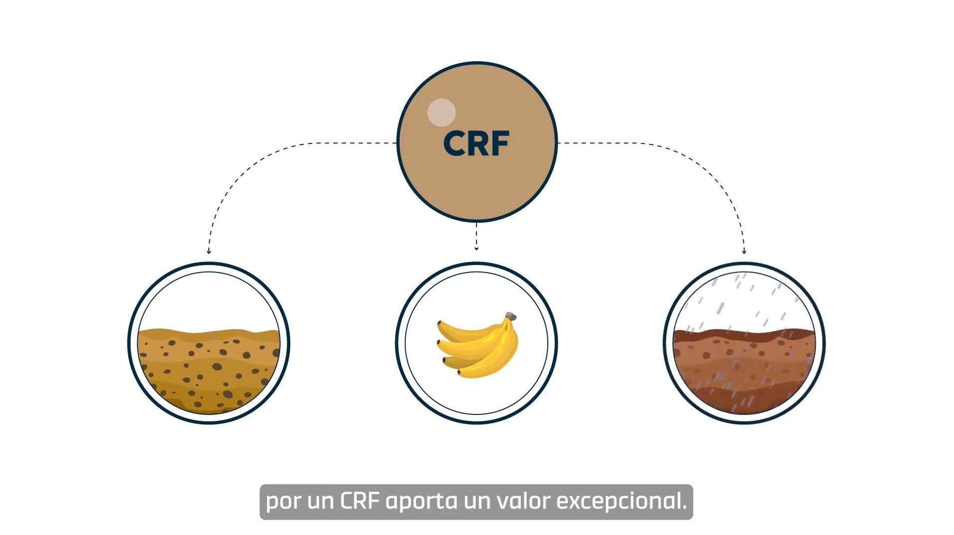 CRF: nutrición fiable, duradera y sostenible de los cultivos