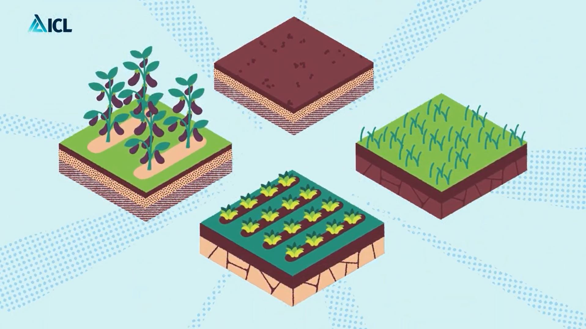 Fertilizantes de liberación controlada para un rendimiento superior