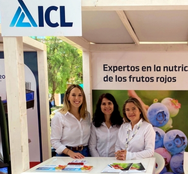 ICL presenta su plan de nutrición para frutos rojos