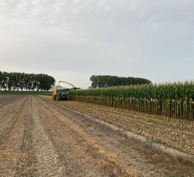 Ensayo en maíz con Agromaster<sup>®</sup> en Francia