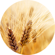 Crop image