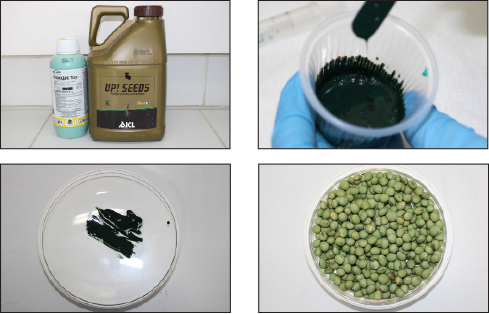 Tratamento com UP! Seeds