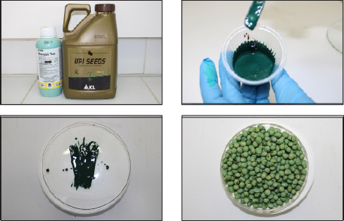 Standak Top + UP! Seeds