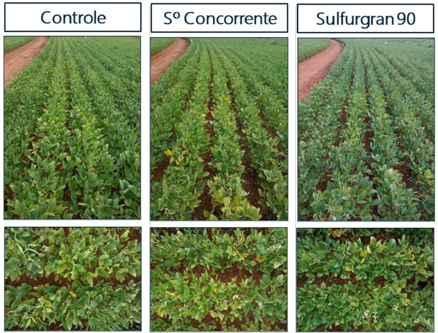 Gráfico de controle X Enxofre concorrente x sulfurgran 90