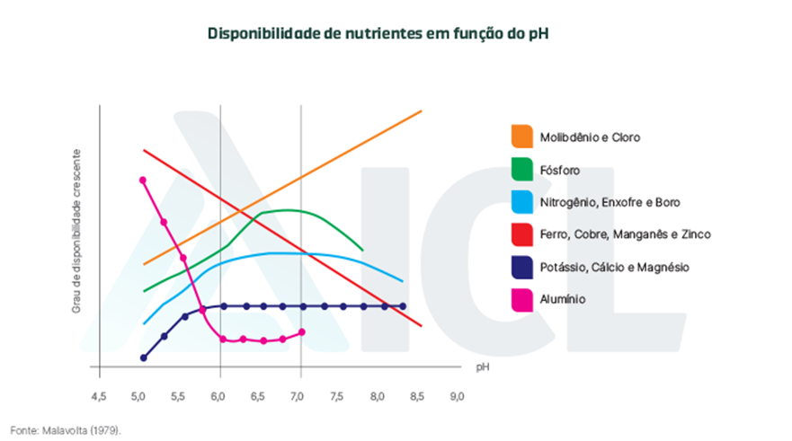 Disponibilidade de Nutrientes Cana-de-Açucar ph
