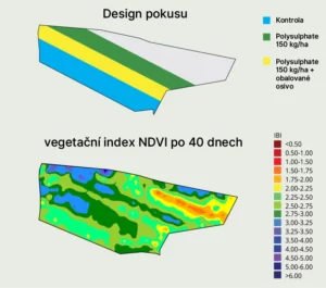 Satelitní snímky ukázaly vyšší index NDVI (zelená a modrá barva) v pásech s Polysulphatem, tedy hustší vegetaci než při běžné zemědělské praxi.
