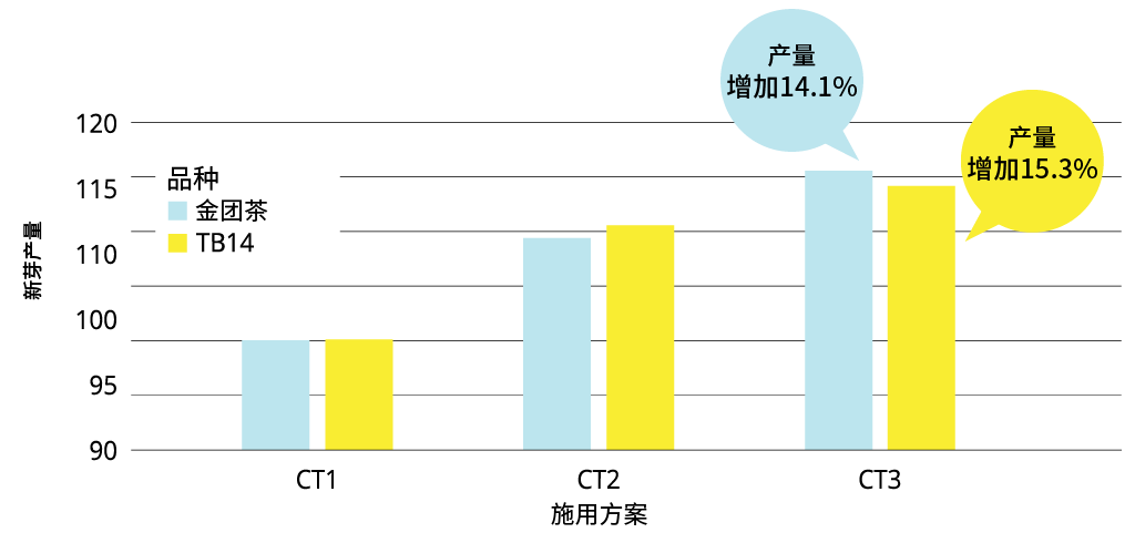 葆力素®可以提高茶芽产量