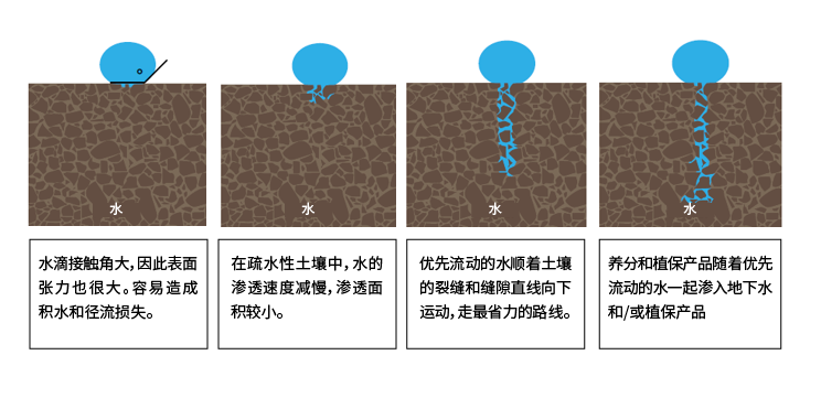 图1：疏水性土壤中的水分。