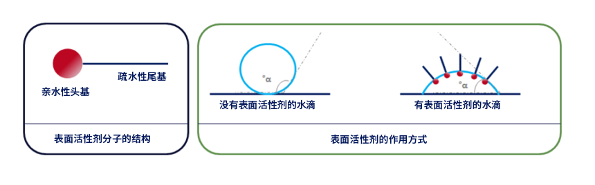 图2：表面活性剂分子的疏水性尾基从水分表面伸出，破坏水分的表面张力。