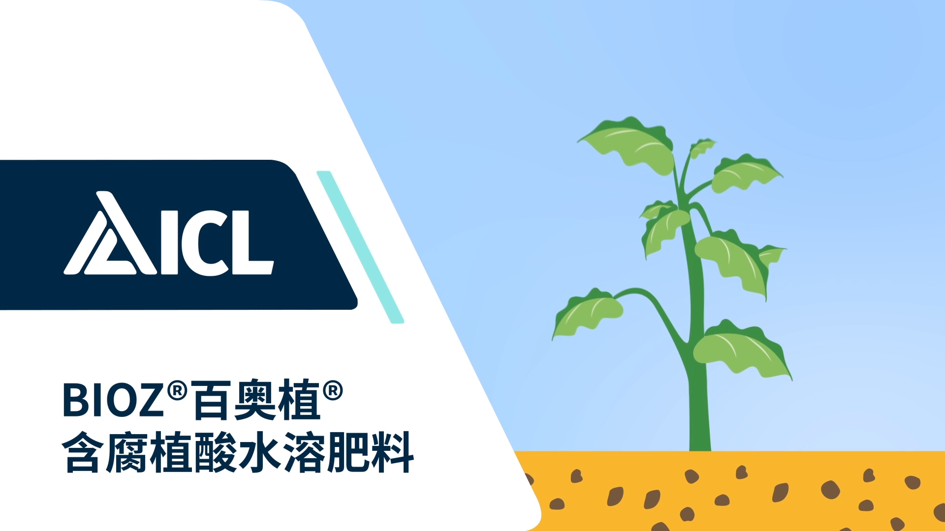 百奥植®介绍