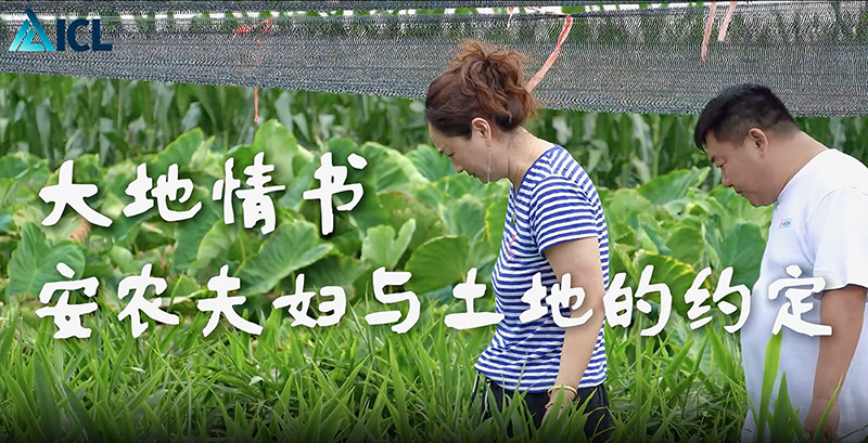 ICL与经销商“安农”的故事