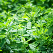 Crop image
