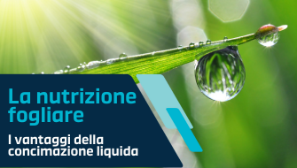I vantaggi della nutrizione fogliare