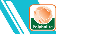 Tecnologia Polyhalite