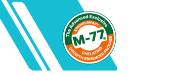 Tecnologia M-77