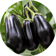 Crop image