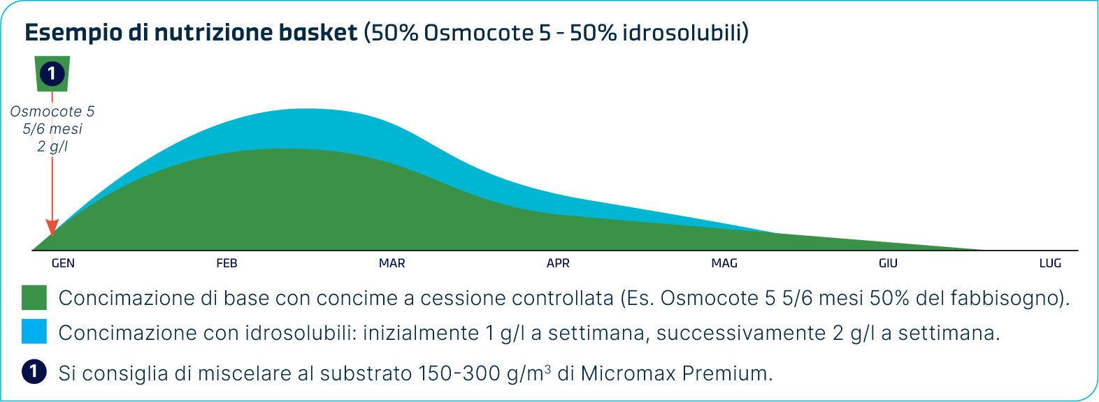 Grafico con esempio di nutrizione mista CRF e idrosolubili per la Petunia hybrida