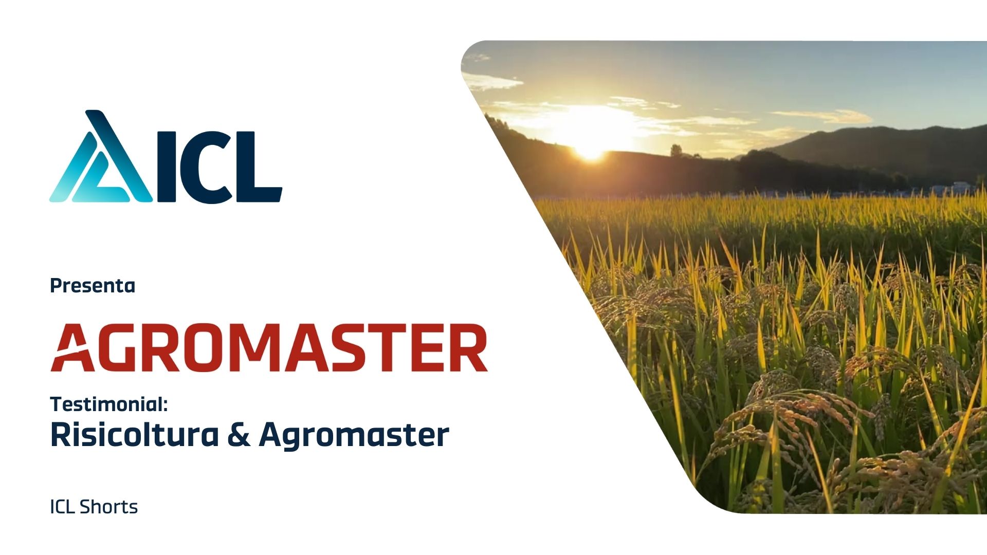 Testimonial: Risicoltura & Agromaster<sup>®</sup>