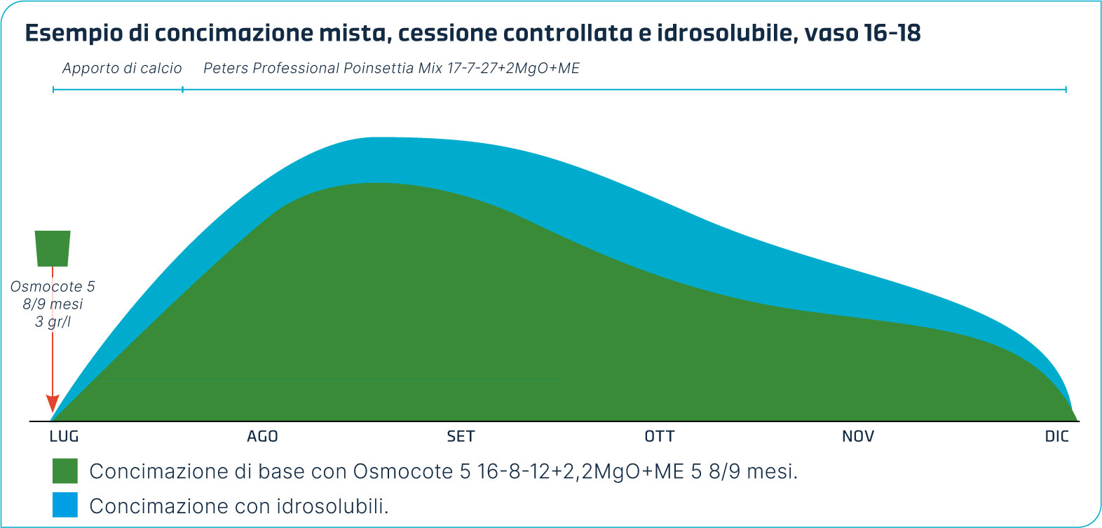 Grafico con esempio di concimazione mista cessione controllata e idrosolubile di Poinsettia