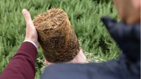 Interazione tra concimazione delle piante e assorbimento dei nutrienti