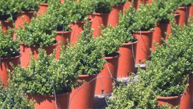 Gestire bene acqua e irrigazione: vantaggi economici e ambientali