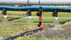 Quali sono gli indicatori della qualità dell’acqua d’irrigazione?