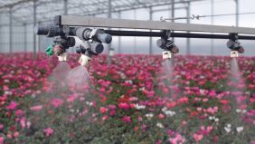 Evitare l’inquinamento da nitrati e nitriti coi cessione controllata