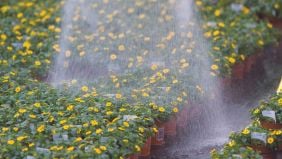 Prevenire l’inquinamento delle risorse irrigue da nitrati e nitriti