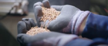 Dal laboratorio alla terra, il viaggio dei granuli ICL