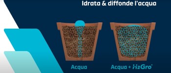 Come risolvere i problemi di idratazione dei vasi nella coltivazione professionale florovivaistica
