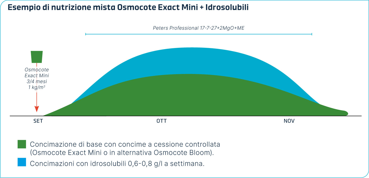 Grafico con esempio di nutrizione mista CRF e idrosolubili per la Viola del pensiero