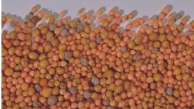 Le variabili da considerare per la scelta del concime per il prato del giardino