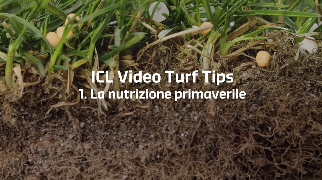 01 | La nutrizione primaverile del tappeto erboso – Video Turf Tips