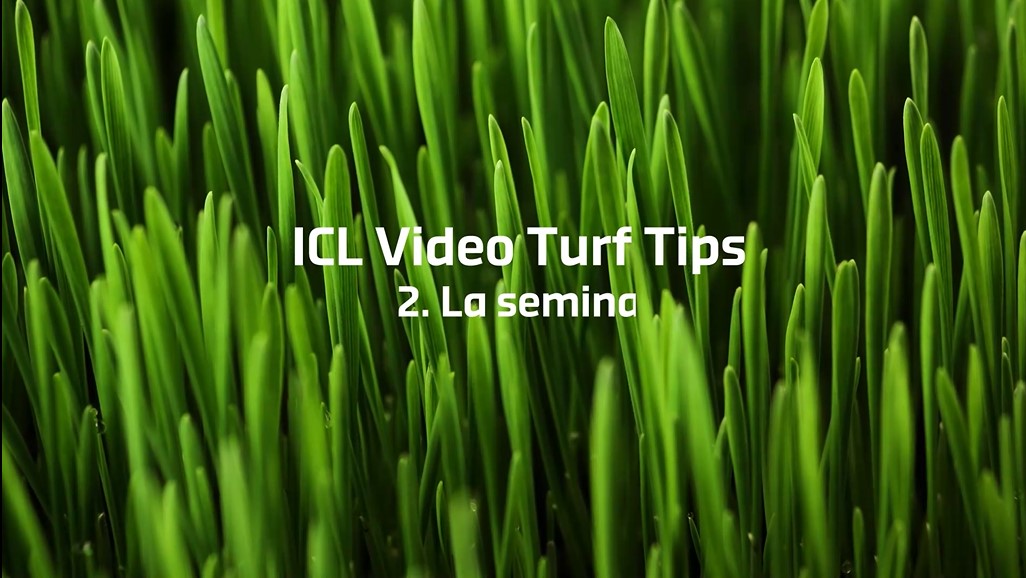 02 | La semina del prato in primavera – Video Turf Tips