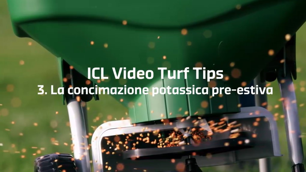 03 | Rinforzare il prato prima dell’estate – Video Turf Tips