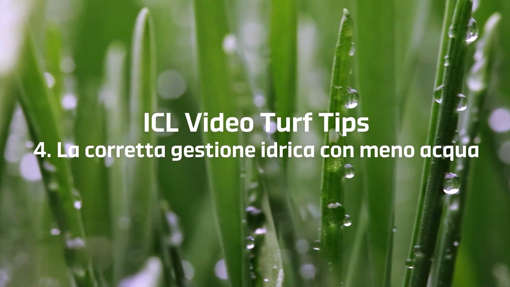 04 | Risparmiare acqua nella gestione del tappeto erboso – Video Turf Tips