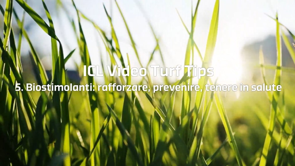 05 | Biostimolanti e pratiche agronomiche preventive x stress estivi del prato – Video Turf Tips