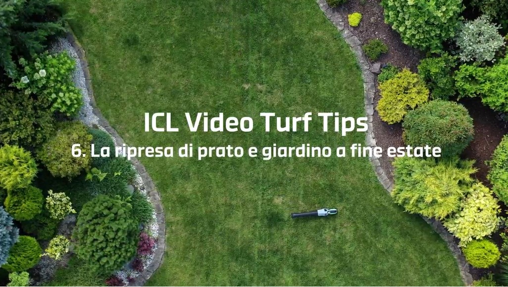 06 | Come aiutare il prato e il giardino a ripartire a fine estate – Video Turf Tips