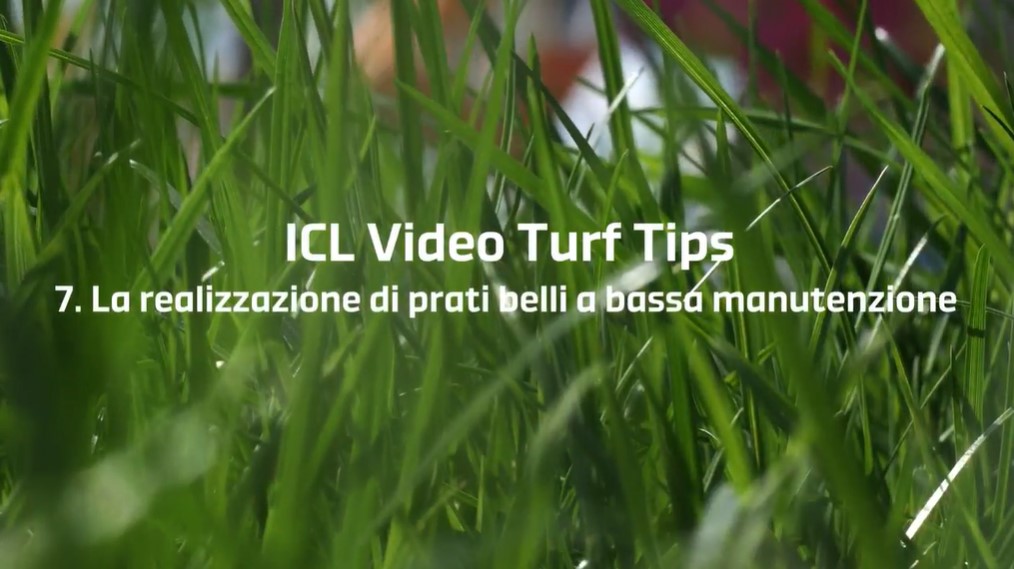 07 | Realizzare prati belli e a bassa manutenzione – Video Turf Tips
