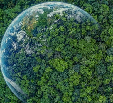 La nuova iniziativa: i prodotti ICL a bassa impronta carbonica