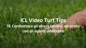 13 | Come evitare gli stress da siccità e caldo con gli agenti umettanti – Video Turf Tips