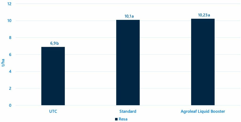 Parametri di resa che emergono dai risultati. Lettere diverse indicano significatività statistica al test LSD a p ≤ 0,05..