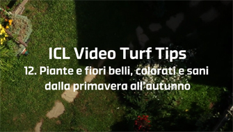 12 | Giardini colorati, belli, rigogliosi durante tutta l’estate – Video Turf Tips