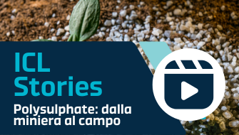 Polysulphate: dalla miniera al campo