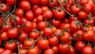 Pomodoro ciliegino