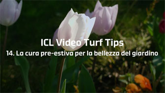 14 | La cura pre-estiva per una prolungata bellezza del giardino – Video Turf Tips