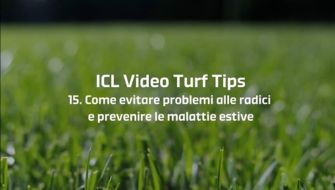 15 | Come evitare problemi alle radici e prevenire le malattie estive – Video Turf Tips