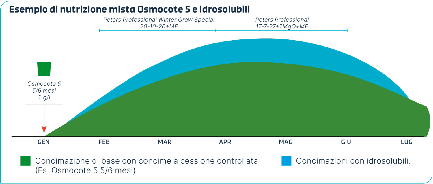 Grafico con esempio di nutrizione mista CRF e idrosolubili per Impatiens Nuova Guinea