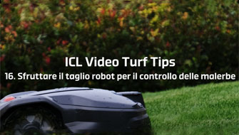 16 | Sfruttare il taglio robot per il controllo delle malerbe – Video Turf Tips