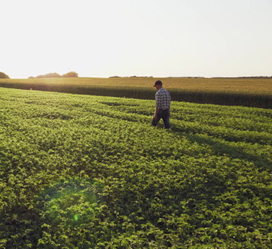 ICL entra a far parte dell’Associazione Europea ECOFI